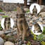 Sculpture de jardin en résine 29 po