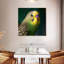 Crowle Budgie Close Up