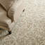 Martha Stewart Hand Tufted Wool/Cotton Floral Rug in Ivory/Beige-92584565