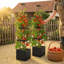 Self-Watering Planter with Trellis (Set of 2)