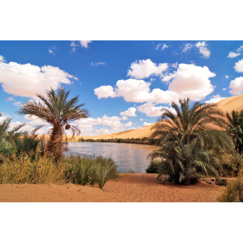 Gaberoun Oasis par Cinoby, H 32 po x l 48 po