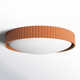 Carran Single Light Acrylic LED Flush Mount