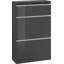 Giammaria 12 Pair Shoe Storage Cabinet-566258952
