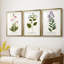 Nature Printed Botanicals V - reproduction sur mesure encadrée de qualité supérieure - 3 pièces-506778575-506778574