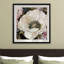 Anemone Study II - reproduction de cadre photo-503309514