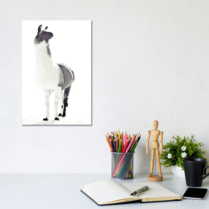 Fluffy Llama Monika Strigel Animals by Monika Strigel - Wrapped Canvas Print, 20.32 cm H x 30.48 cm W