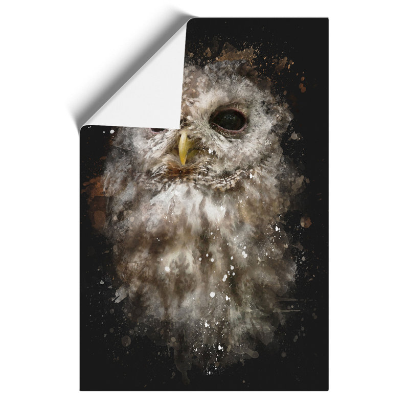 Tawny Owl Paint Splash - Frameless Print, 59cm H x 42cm W x 0.1cm D