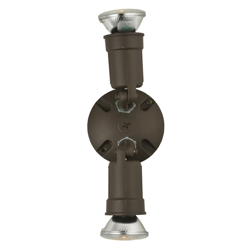 Rustic Lodge Flush Mounted Sconce, PAR30