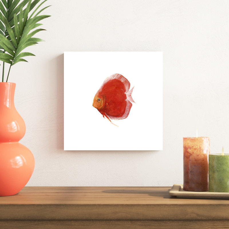 Poisson discus V, H 12 po x l 12 po x P 1 po