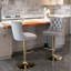 Pascola Swivel Yes Upholstered Velvet Yes Bar Stool with Stainless Steel Frame-2101388149