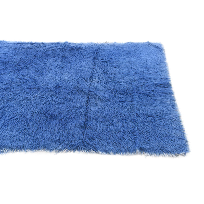 Tapis bleu 4 x 6 Phillippi