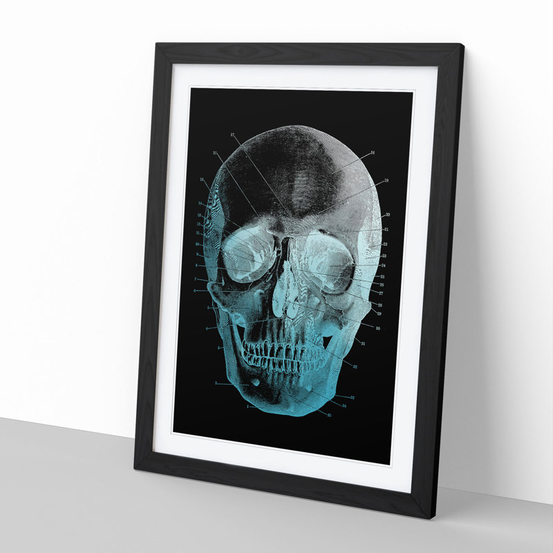 Black Twilight Skull - Picture Frame Graphic Art, 65cm H x 48cm W x 2cm D, Black