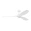 Smart Outdoor Ceiling Fan-911923887-931505931