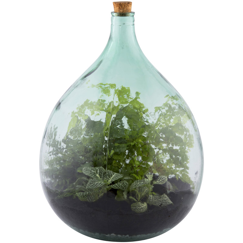 Whipe Terrarium Bottle 35 Litre Set