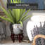 Medallion Urn-347584817-347584821