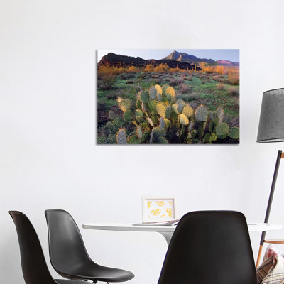 Beavertail Cactus With Picacho Mountain In The Background, Pichaco Peak State Park, Arizona by Tim Fitzharris - Wrapped Canvas Print