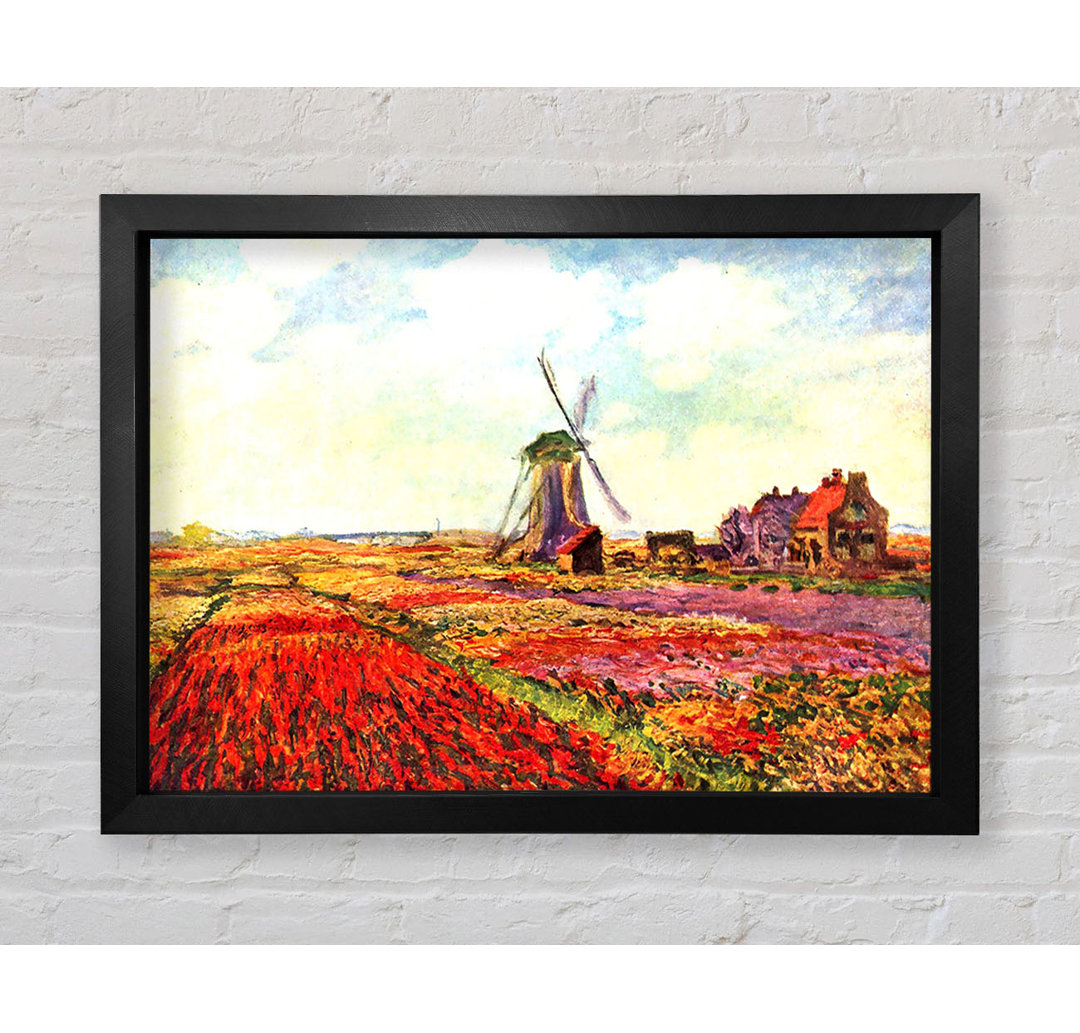 Claude Monet Tulpen aus Holland von Claude Monet - Einzelne Bilderrahmen Kunstdrucke