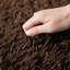 Talethia Standard Shag Area Rug-1422238578