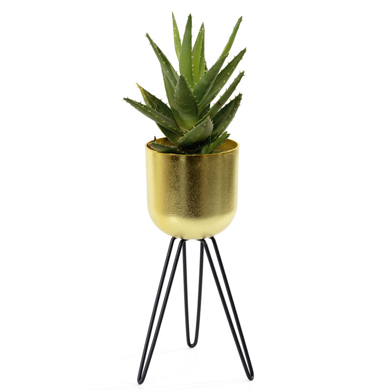 Pot à fleurs trépied Albus, H 4,5 po x l 4,5 po x P 4,5 po