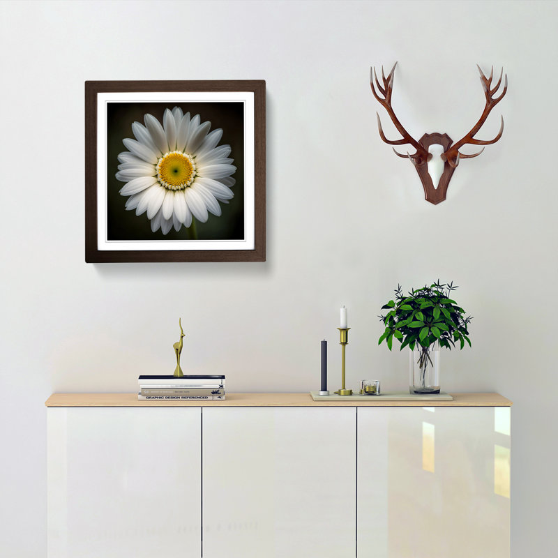 Daisy Photograph No.1 - Framed Print, Walnut