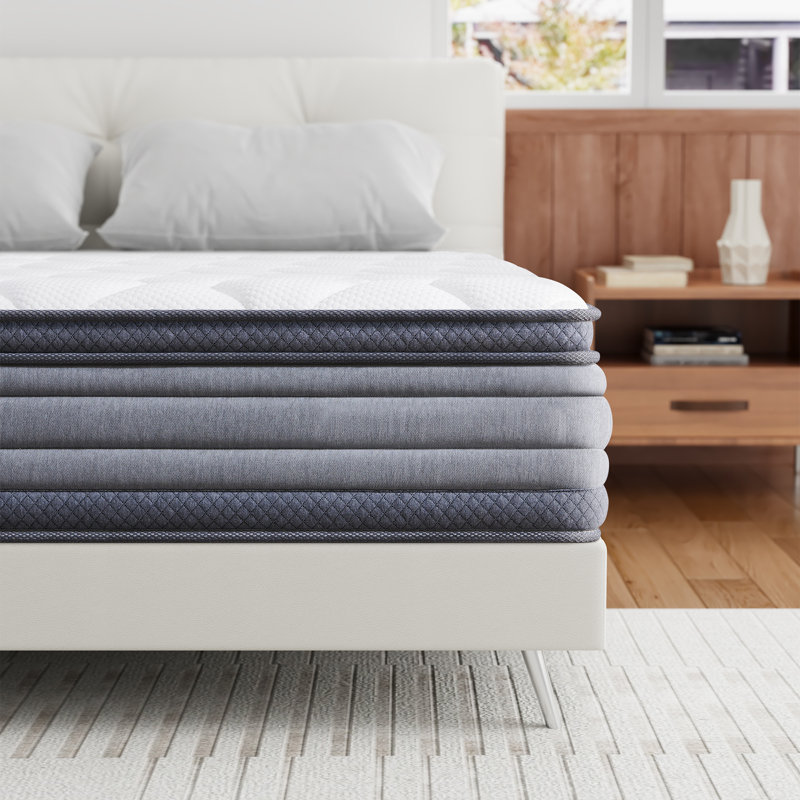 Alwyn Home Byromville 12'' Soft-Medium Memory Foam Mattress, Queen