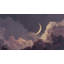 Dreamy Night-1185348451-1185348462