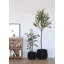 Faux olivier en pot Dore-1422237756