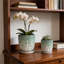 Ensemble de pots à fleurs en céramique faits à la main dégradé vert et blanc (7,48 po x 5,51 po et 8,07 po x 6,1 po)