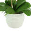 Organic Modern Orchid Arrangement in Ceramic Vase