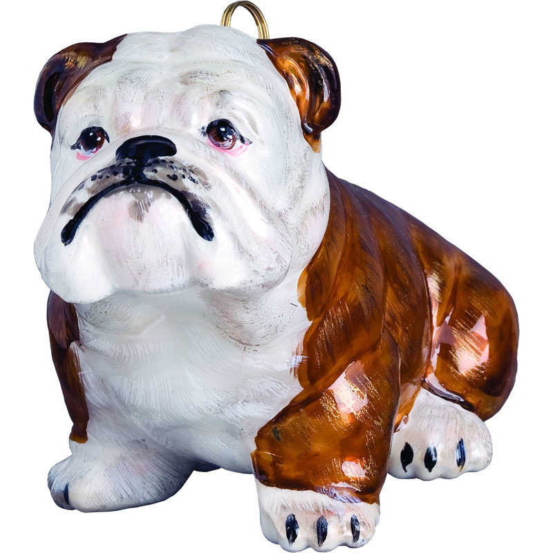 Bulldog Brown and White