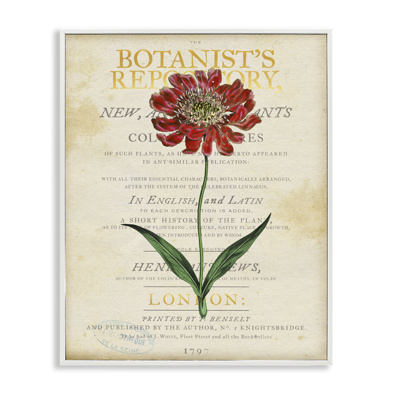 Fleur sur une page rétro, estampe numérique, design par Susan Arnot, H 14 po x l 11 po