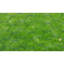 Chicken Wire Fence with PVC Coating-65275820-65300101