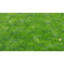Chicken Wire Fence with PVC Coating-65300101-65275820