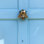 Bumblebee Door Knocker