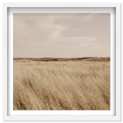Golden Nature Print by Oliver Gal
