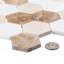 Channing 2 in. Hexagon Honeycomb Mosaic Tile-50210695