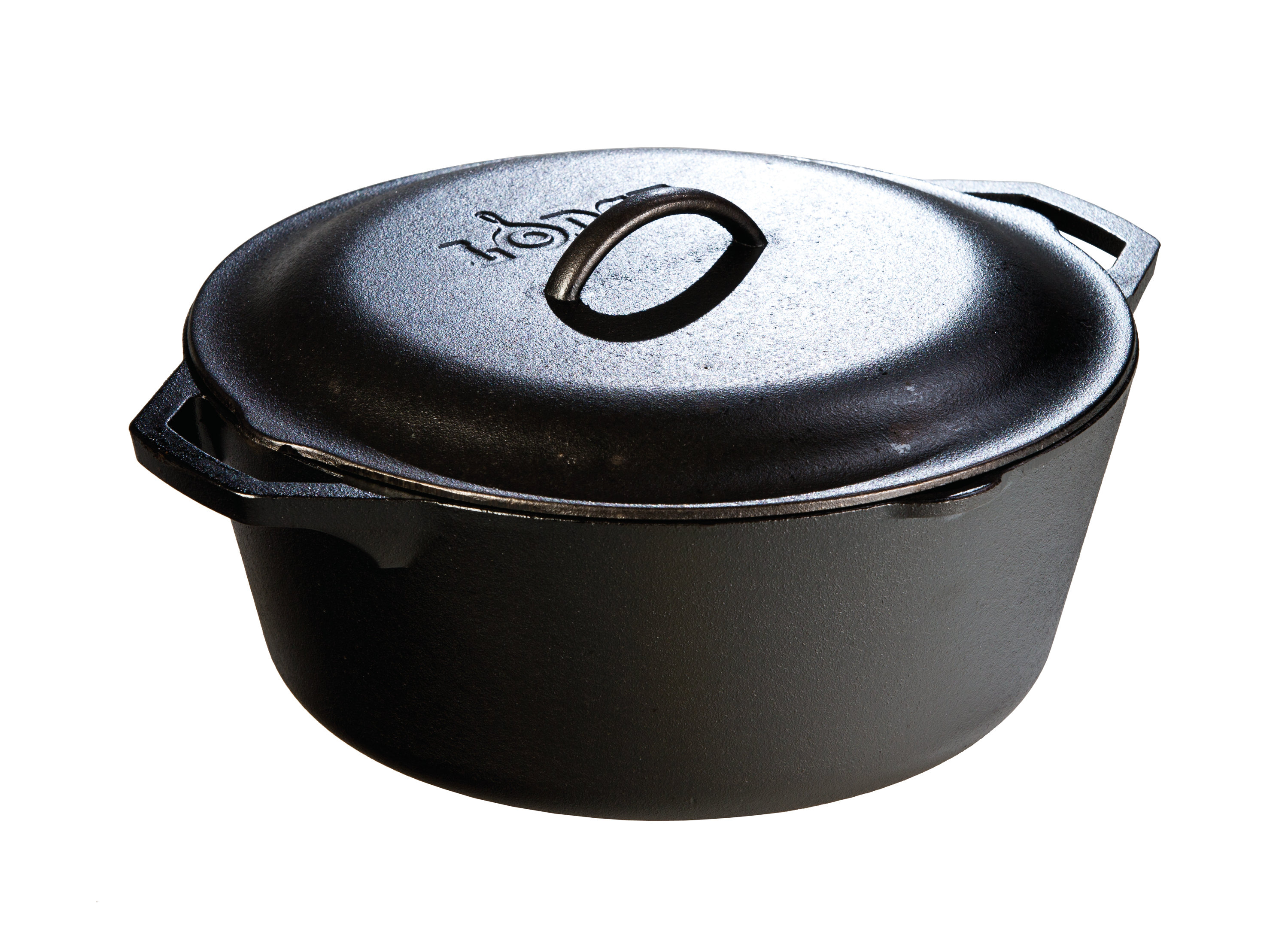 Lodge Cast Iron Dutch Oven & Reviews | Wayfair