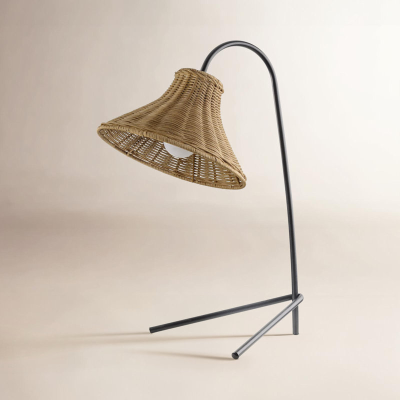 Sylvia Iron Desk Lamp