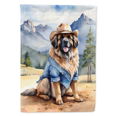 Drapeau Cowboy Welcome House