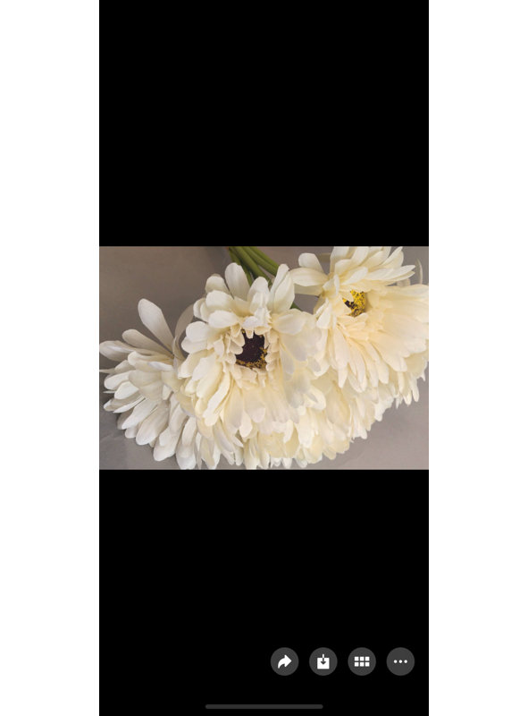 67C73DD34E1744CFAC36537EFD5A8106, White