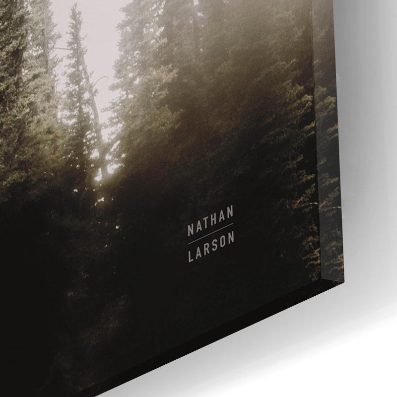 «Waterwood» par Nathan Larson, art mural en verre acrylique, H 12 po x l 16 po x P 0,13 po