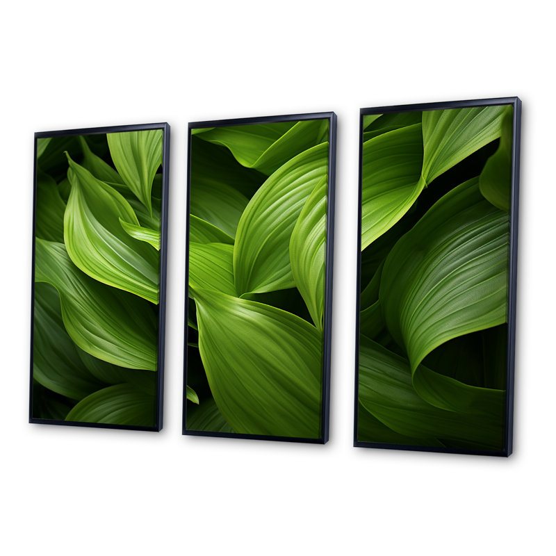 Ensemble de décoration murale Greenerys Gaze I - Plantes, Cadre flottant noir, H 40 po x l 60 po x P 1 po