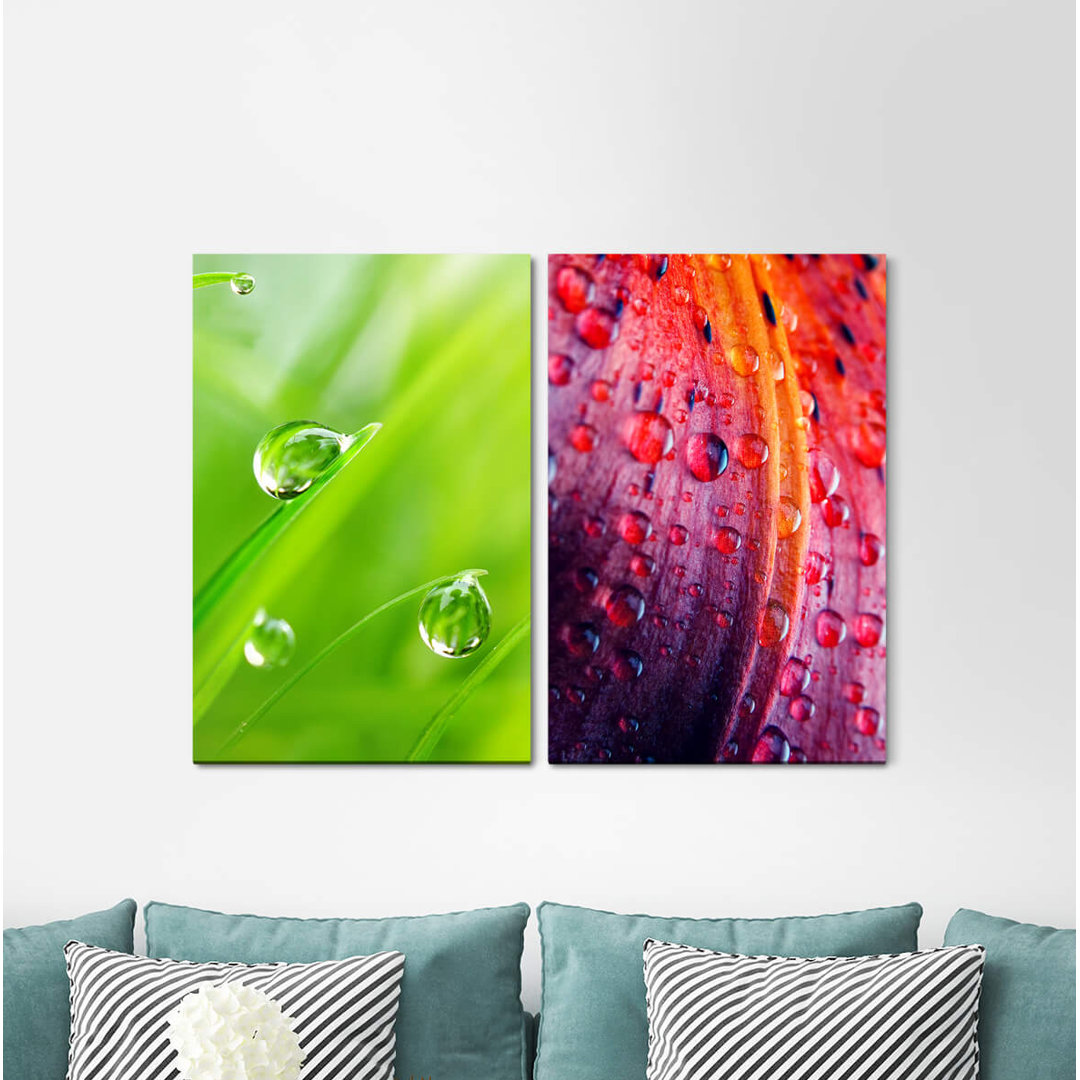 2-tlg. Leinwandbilder-Set - Fotografie „Flower Blossom Nectar Raindrops Pink Red”