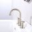 Widespread 2-handle Bathroom Faucet with Drain Assembly-80810849