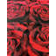 Tapis Yosiah-1862973022