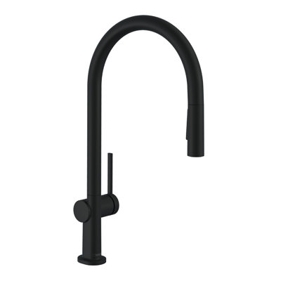 hansgrohe Talis N HighArc Kitchen Faucet, O-Style 2-Spray Pull-Down, 1.75 GPM