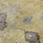 Premium Machine Washable Prisco Gold Rug-433424730