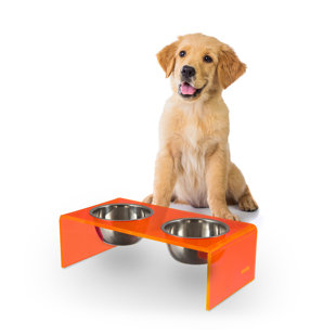 Keaton Modern Lucite Rectangular Elevated Pet Feeder with 2-Stainless Steel Bowls