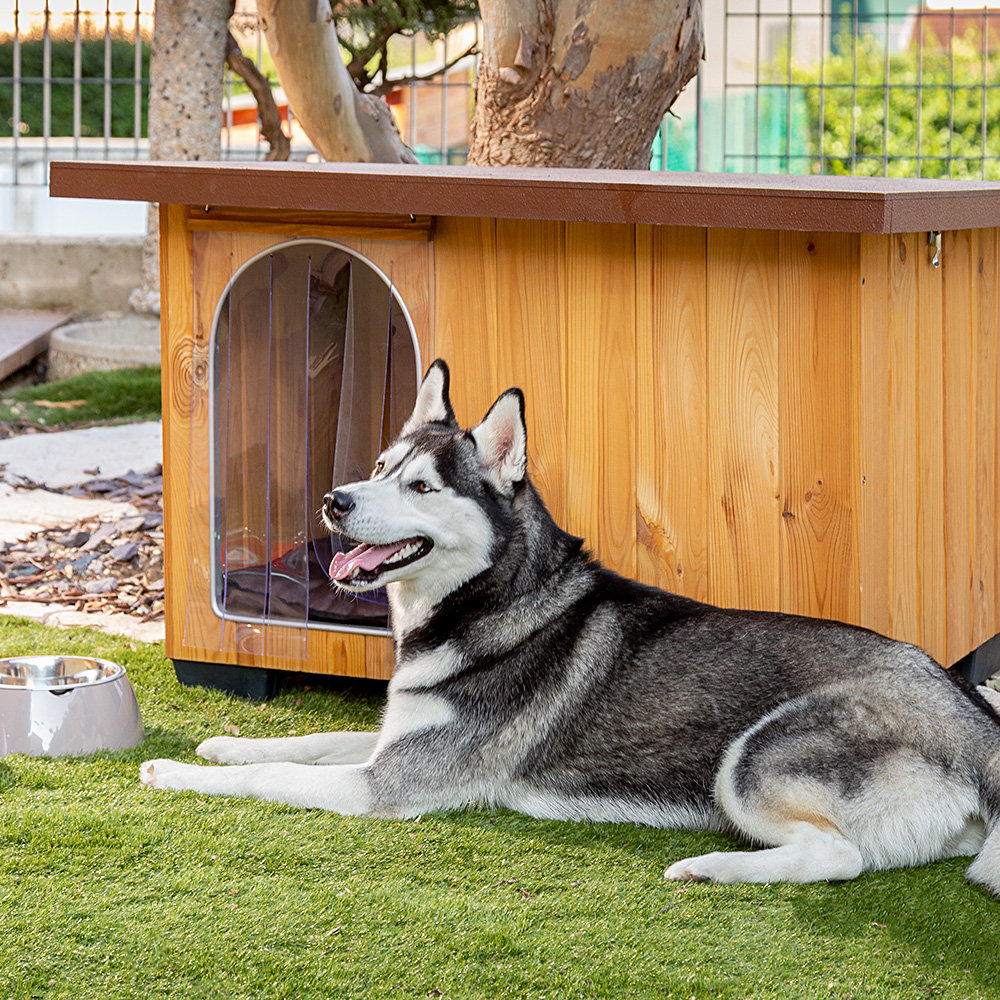 Hundehütte Baita