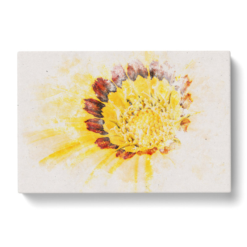 The Beauty Of The Flower Watercolour - Wrapped Canvas Print, 35cm H x 50cm W x 3cm D